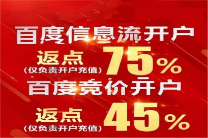 百度竞价SEM的秘密武器：案例背后的策略分析